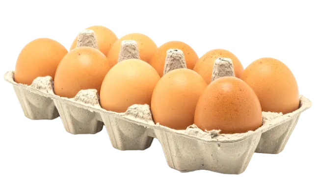 Carton of Fresh Brown Eggs