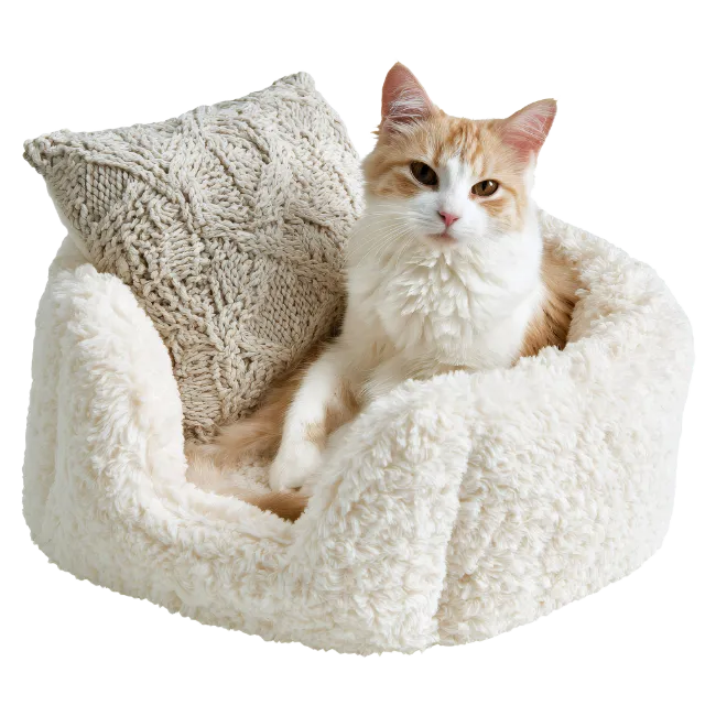 Cat Lying in Fluffy Pet Bed