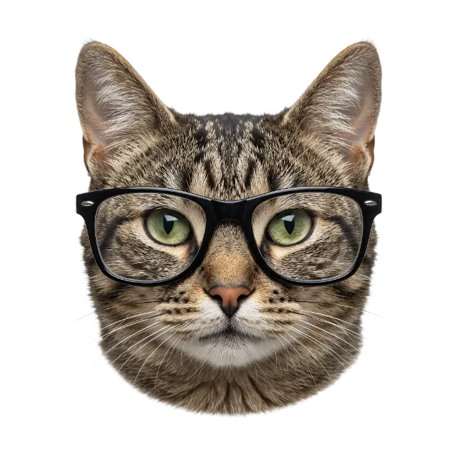 Cat Wearing Black Glasses Headshot