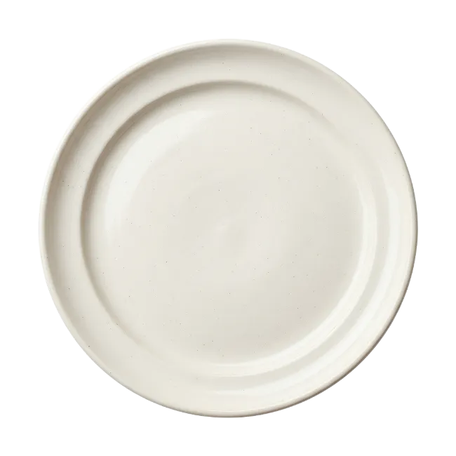 Ceramic Dinner Plate Top View
