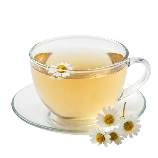 Chamomile Tea Cup and Saucer with Fresh Flowers