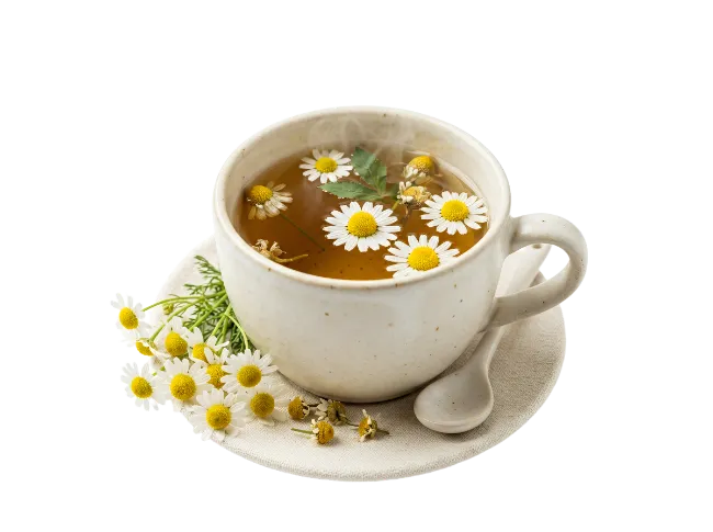 Chamomile Tea Cup with Fresh Flowers