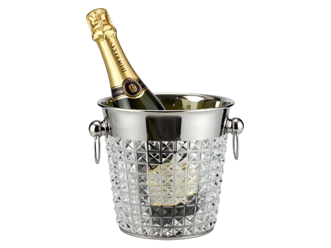 Champagne Bottle in Ice Bucket