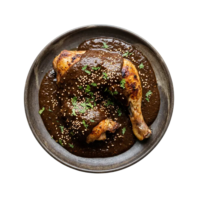Chicken Mole in a Ceramic Bowl