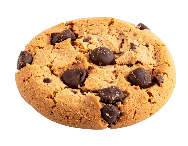 Chocolate Chip Cookie Isolated on White