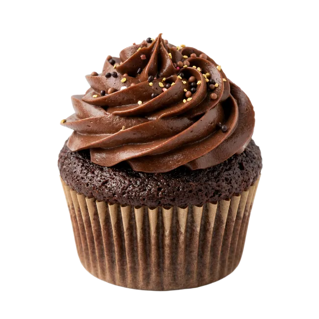 Chocolate Cupcake with Frosting