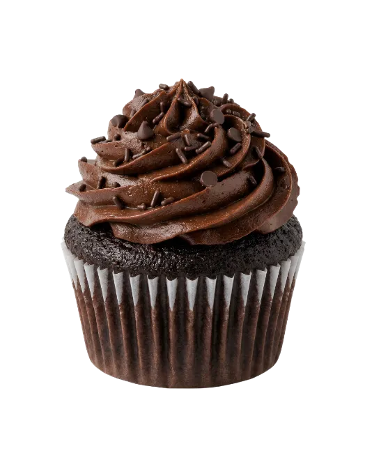Chocolate cupcake with rich frosting