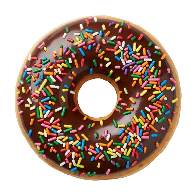 Chocolate Frosted Donut with Rainbow Sprinkles