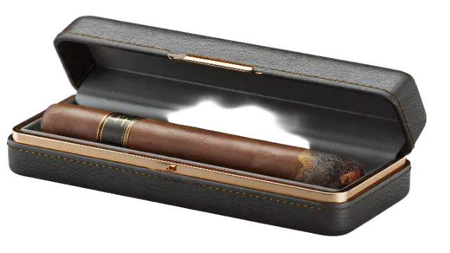 Cigar in Leather Case