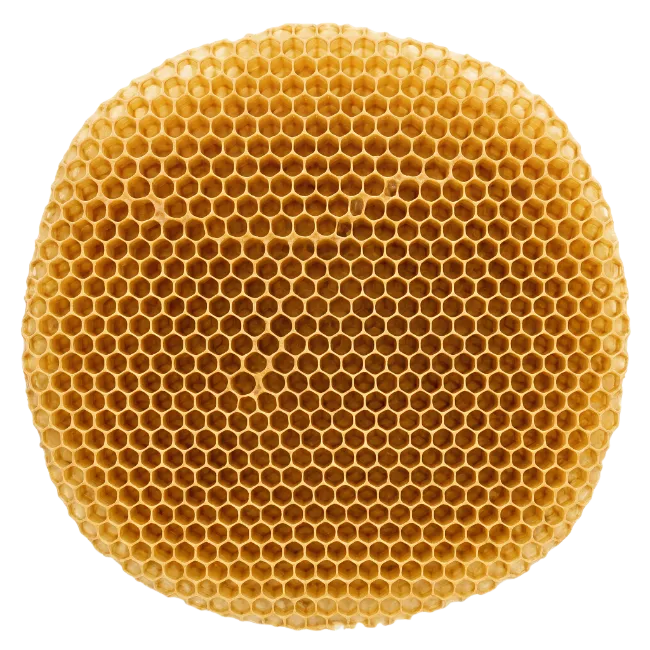 Circular Golden Honeycomb Structure