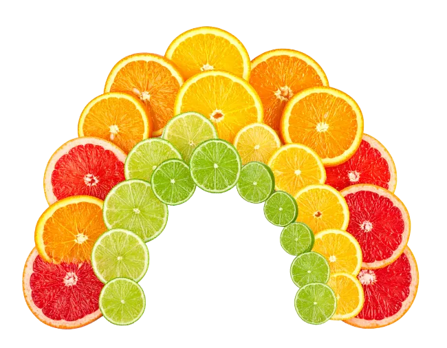 Citrus fruit slice rainbow arrangement