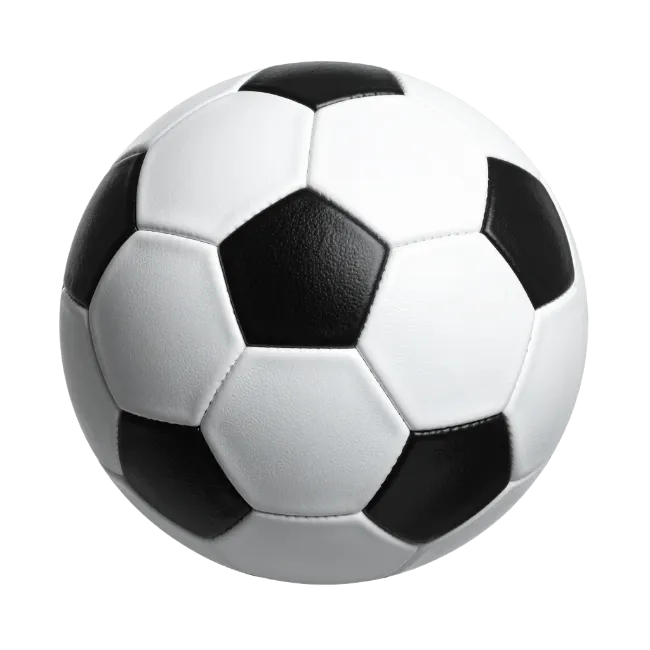 Classic Black And White Soccer Ball