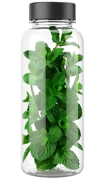 Clear Glass Bottle Filled With Fresh Mint Leaves