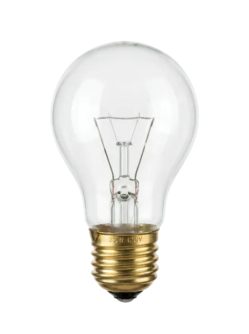 Clear Glass Incandescent Light Bulb
