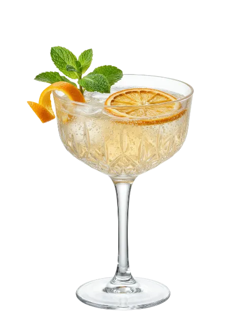 Cocktail in Crystal Glass with Citrus and Mint