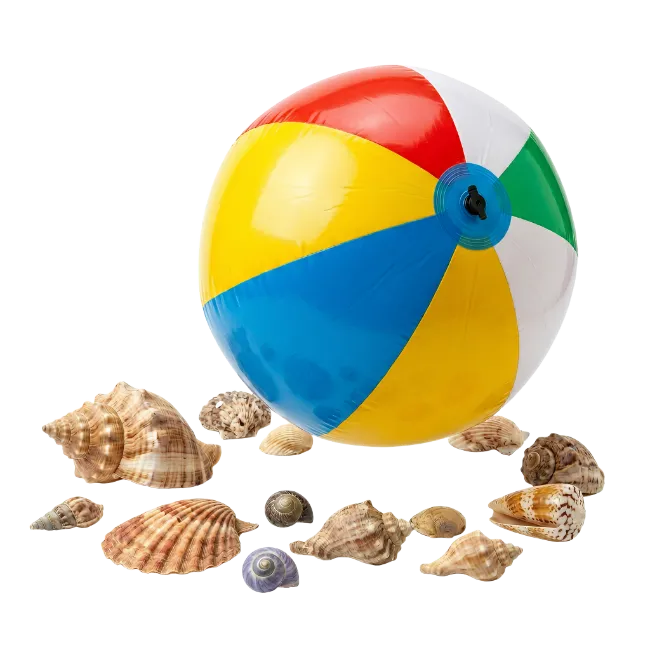 Colorful beach ball and seashells on white
