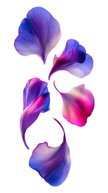 Colorful Flower Petals Falling