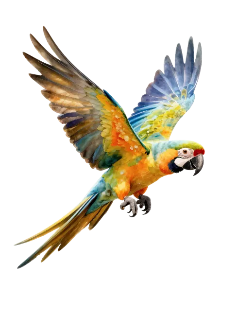 Colorful Macaw Parrot Flying