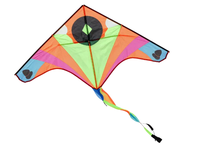 Colorful stunt kite with long tail