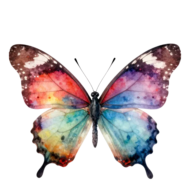 Colorful Watercolor Butterfly Illustration