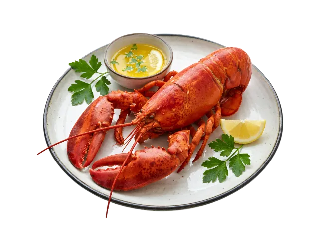 Cooked Lobster with Butter Sauce on Plate