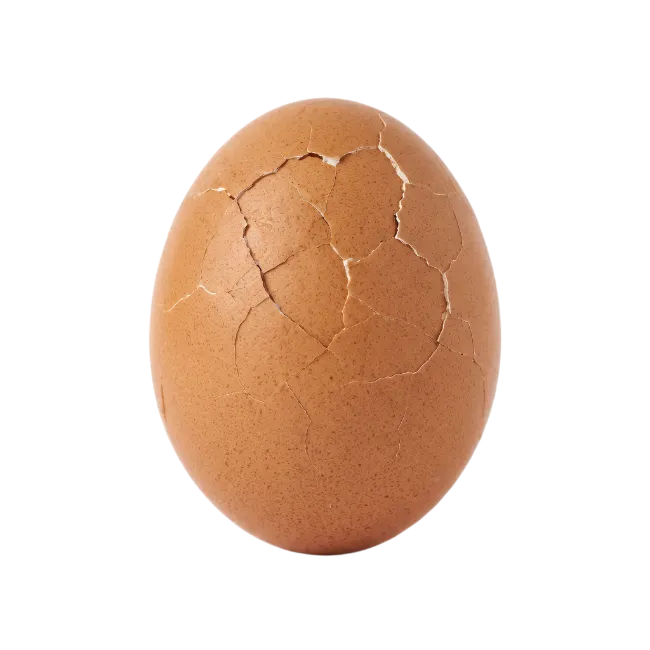 Cracked Brown Egg