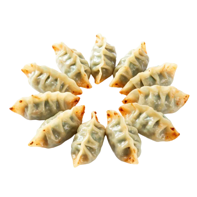 Crispy pan fried dumplings arranged in circle