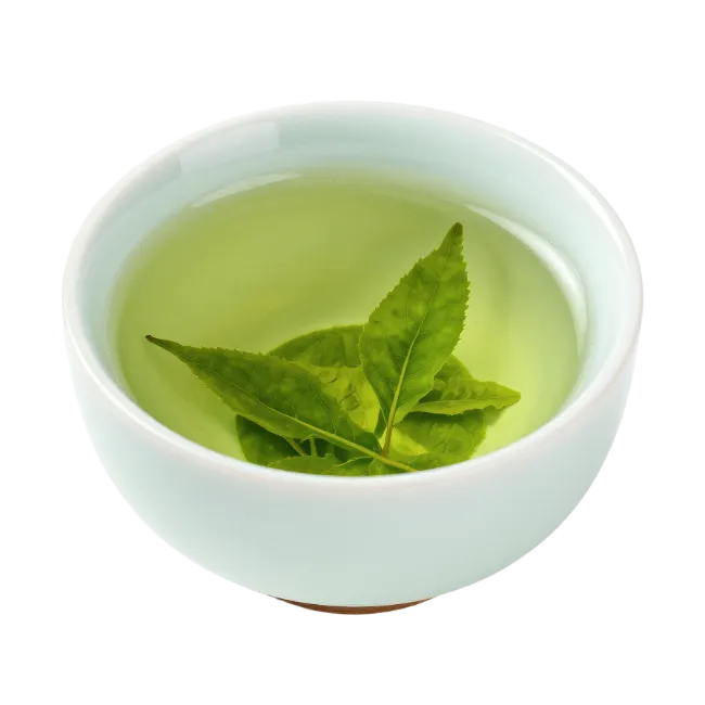 Cup of Green Tea with Leaves
