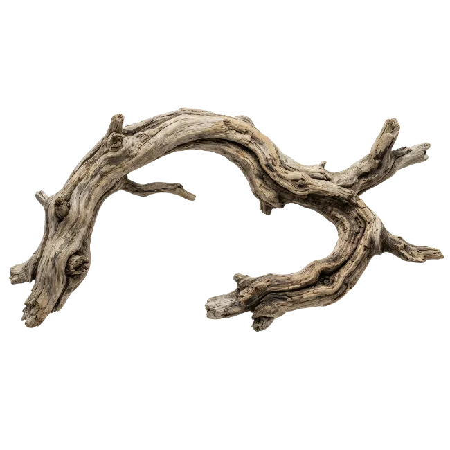 Curved Weathered Driftwood Branch