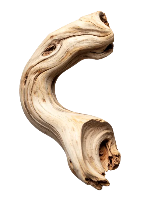 Curved Weathered Driftwood Piece