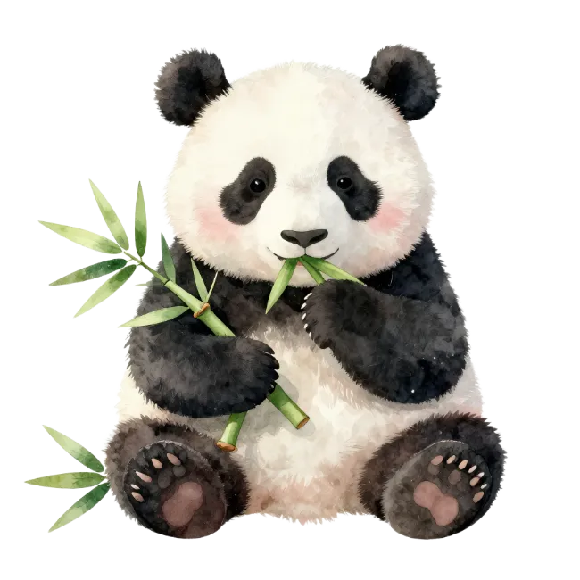 Cute Panda Eating Bamboo Watercolor