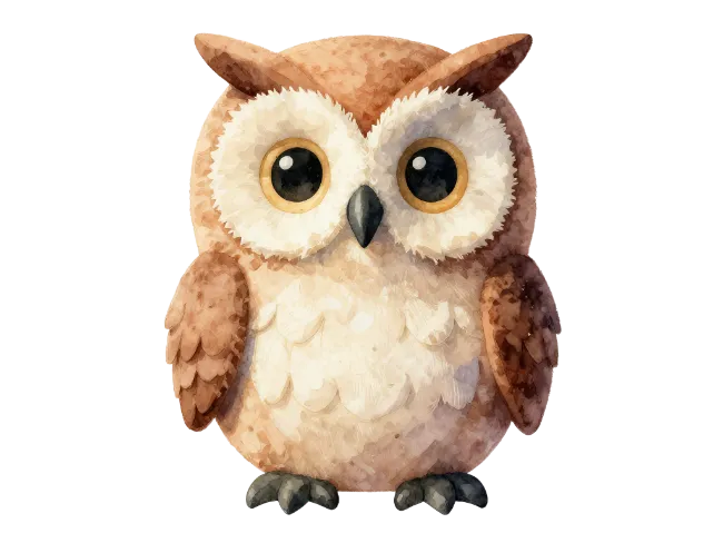 Cute Watercolor Owl Illustration