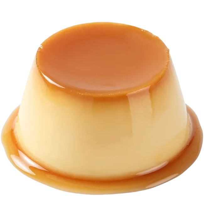Delicious Caramel Custard Pudding