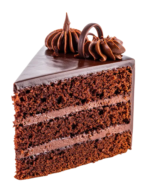 Delicious Chocolate Cake Slice