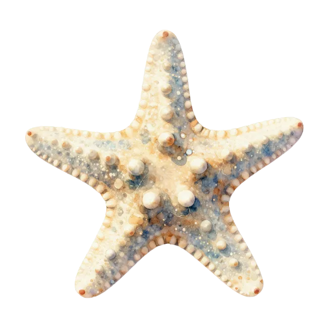 Detailed Beige Sea Star Specimen