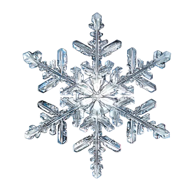 Detailed Crystalline Snowflake