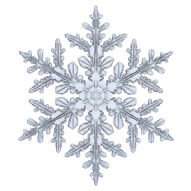 Detailed Crystalline Snowflake Illustration