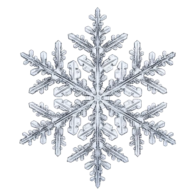 Detailed Ice Snowflake Crystal