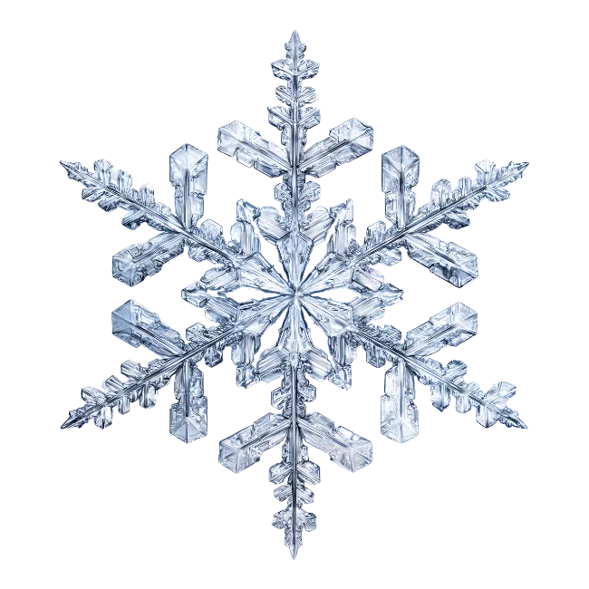 Detailed Ice Snowflake Crystal