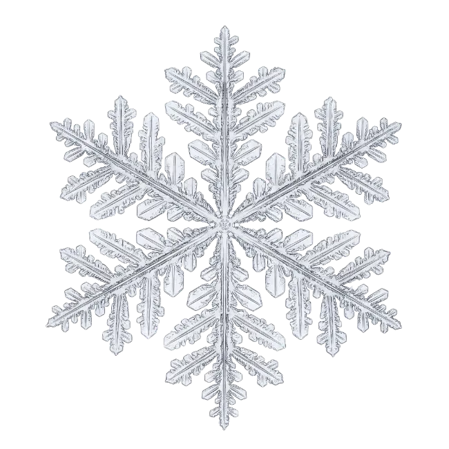 Detailed Natural Snowflake Crystal