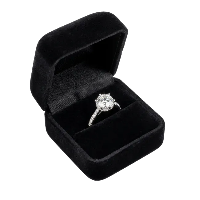 Diamond Ring in Velvet Box