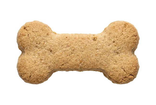 Dog Biscuit Treat