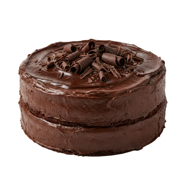 Double layer chocolate cake with chocolate curls