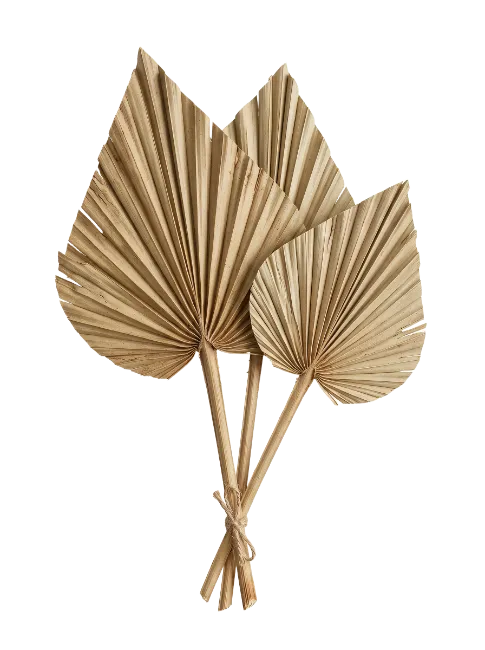 Dried Palm Leaves Bouquet