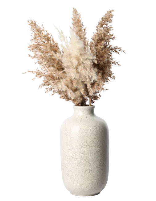 Dried Pampas Grass in Ceramic Vase