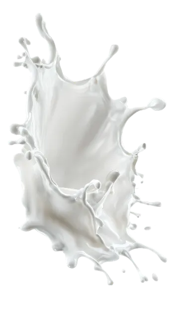 Dynamic Milk Splash Isolated on Black