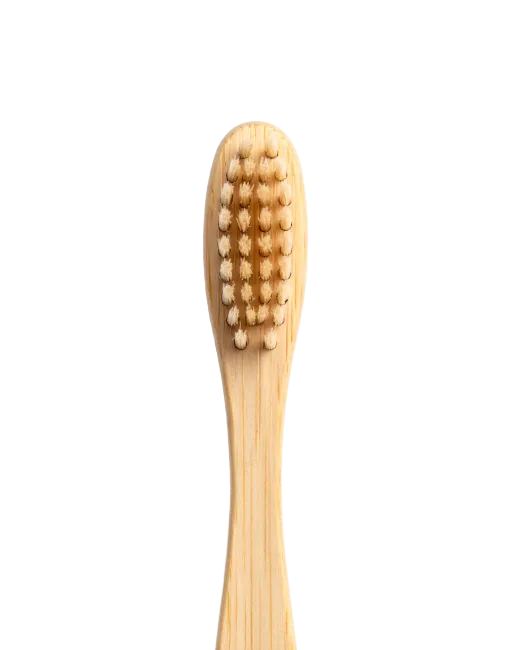 Eco Friendly Bamboo Toothbrush Head