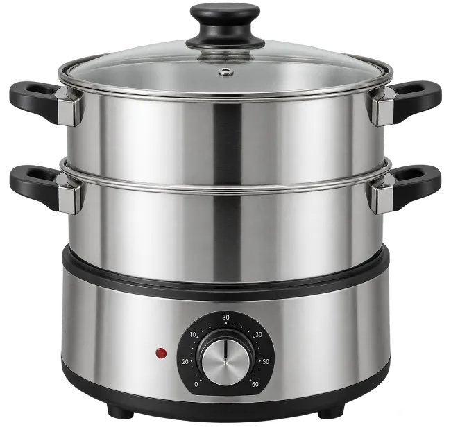Electric Food Steamer with Glass Lid