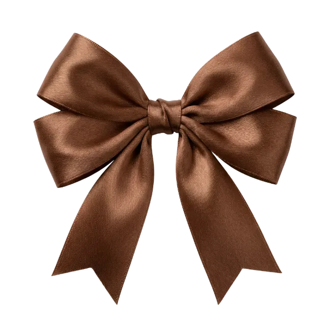 Elegant brown satin ribbon bow