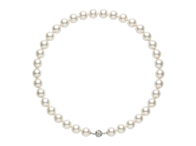 Elegant Pearl Necklace Isolated on White